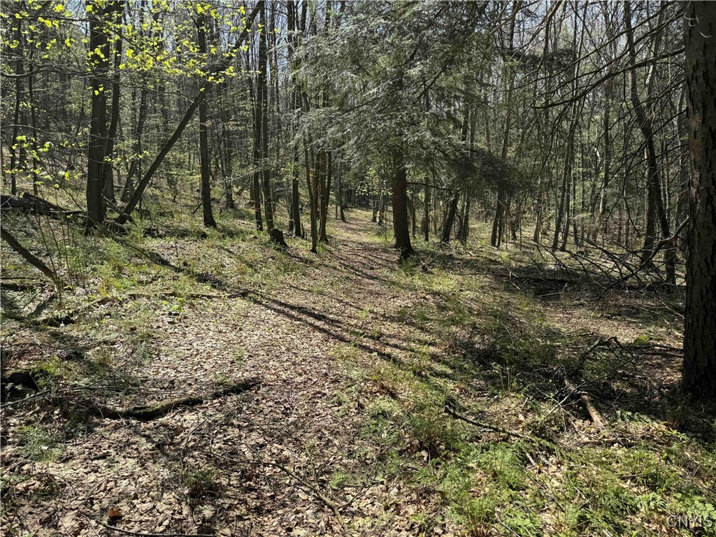 1127 Little Loop Road, Portville, New York image 33