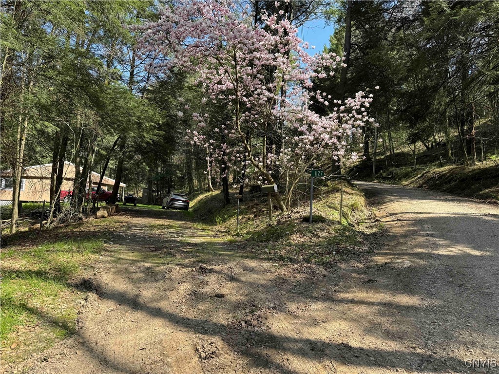 1127 Little Loop Road, Portville, New York image 38