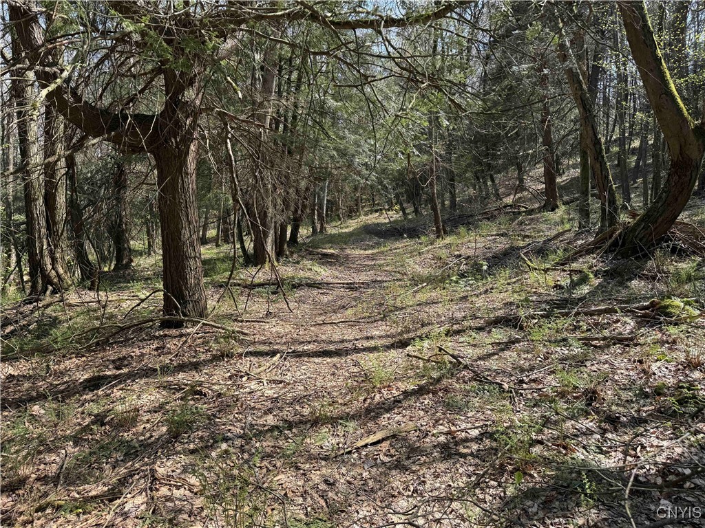 1127 Little Loop Road, Portville, New York image 32