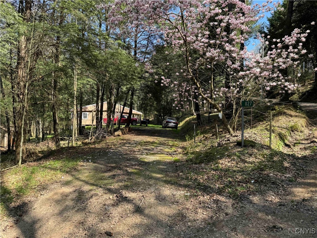 1127 Little Loop Road, Portville, New York image 31
