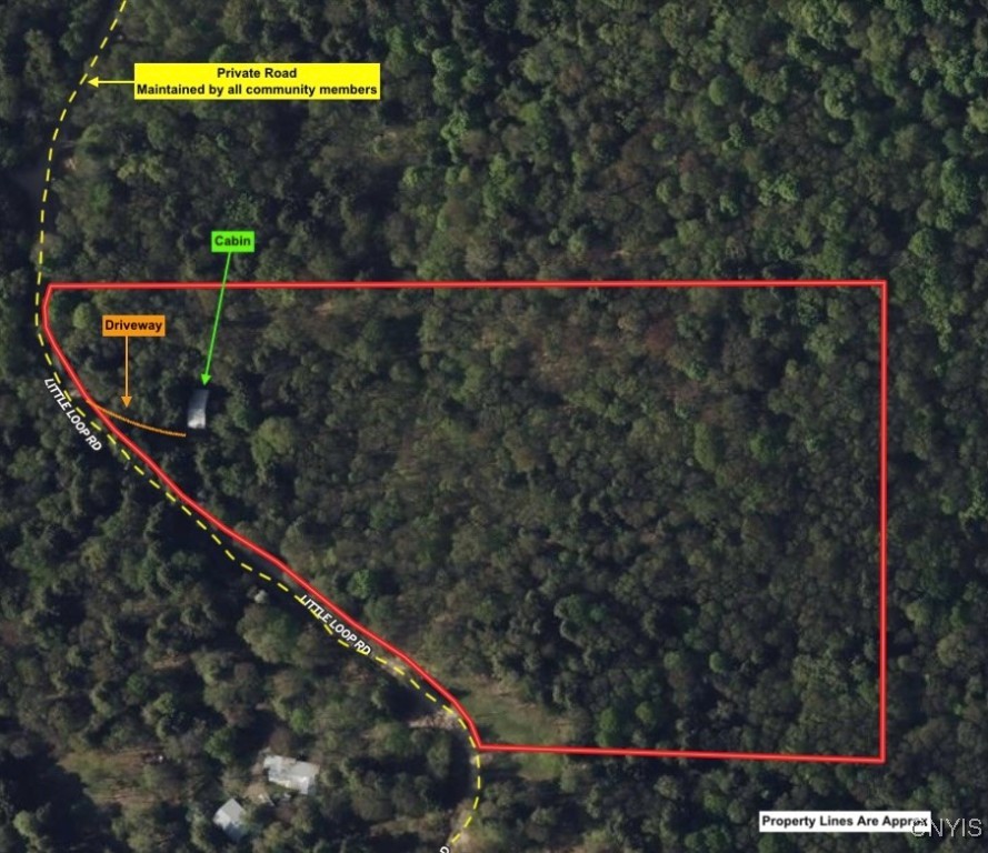 1127 Little Loop Road, Portville, New York image 2
