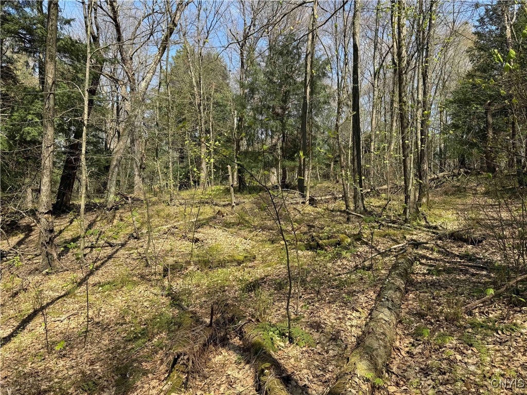 1127 Little Loop Road, Portville, New York image 34