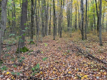 Sunset Hill Road Machias NY 14101