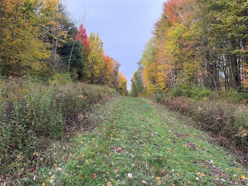 Sunset Hill Road