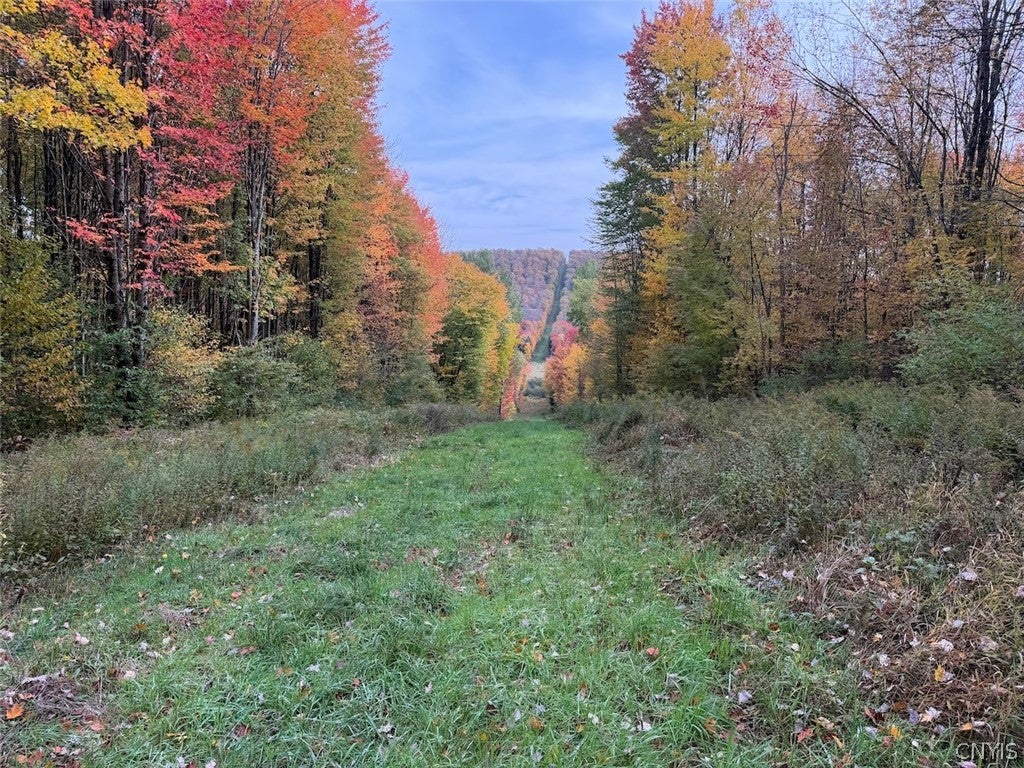 Sunset Hill Road