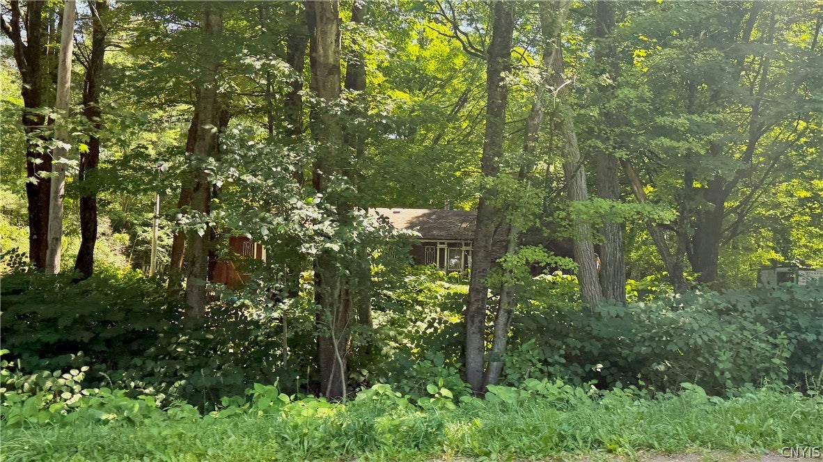 MLS: S1703133