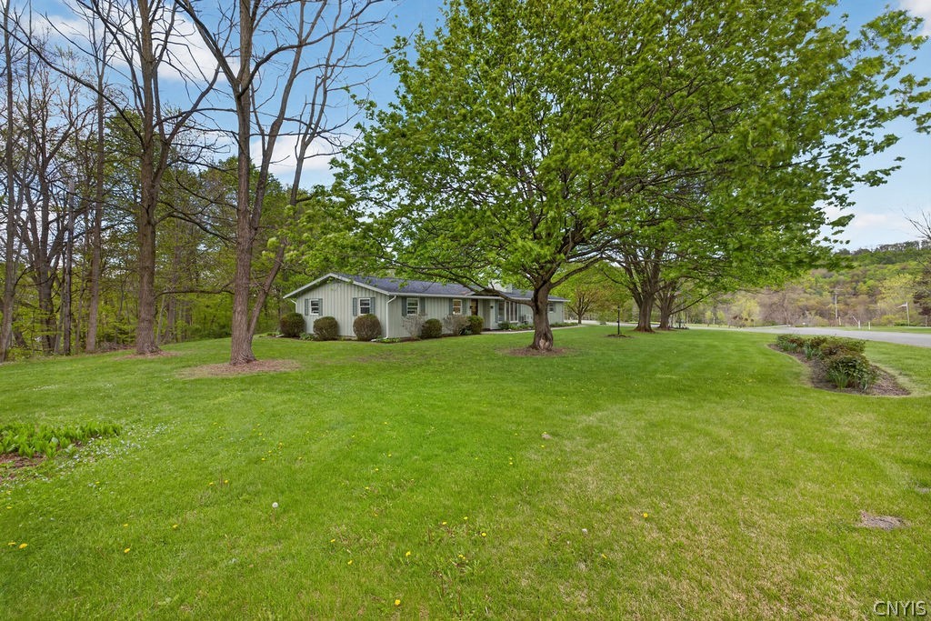2403 Amidon Drive