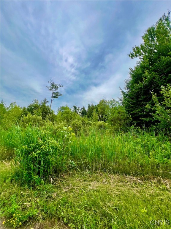 Lot 6 Forest Ridge Drive