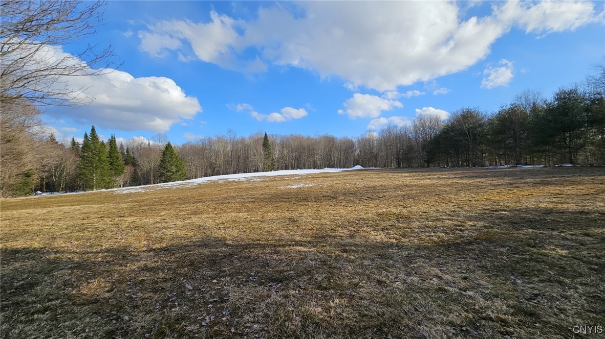 1316 William Ernst Road, Lewis, New York image 14