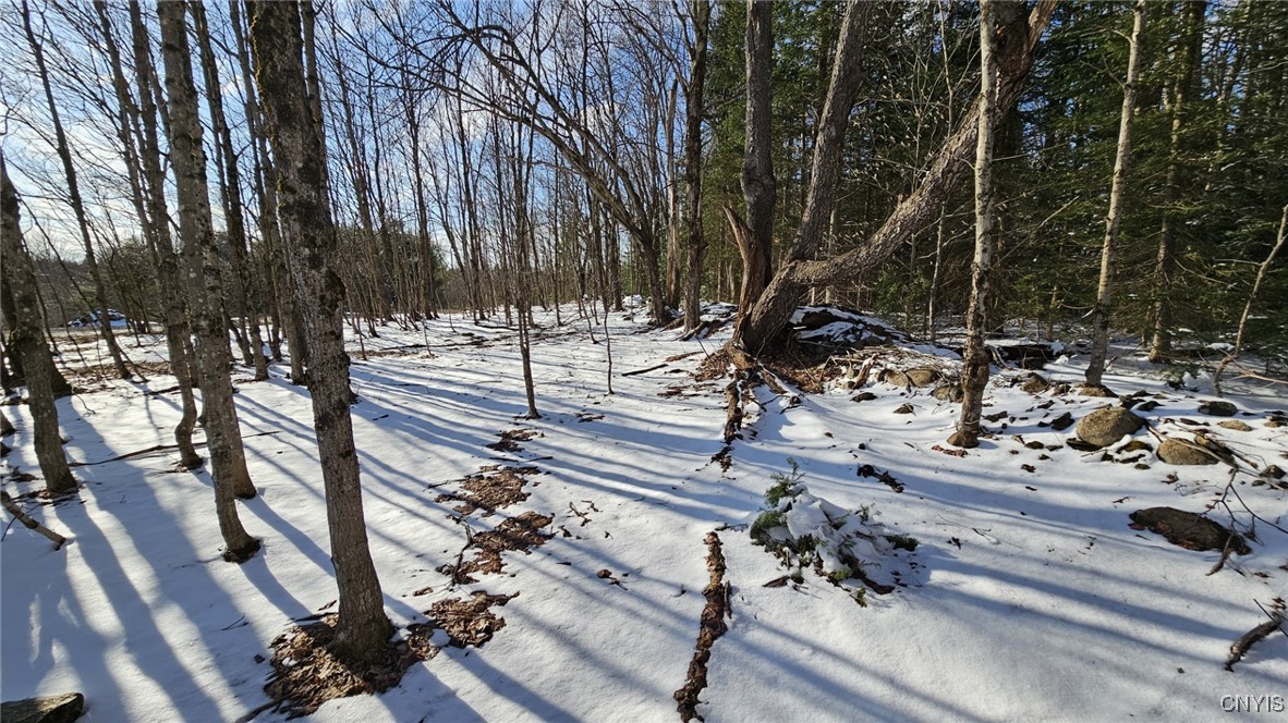1316 William Ernst Road, Lewis, New York image 15