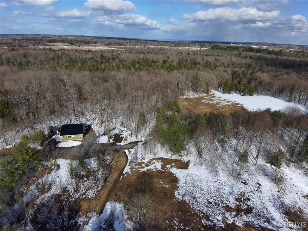 1316 William Ernst Road, Lewis, New York image 18