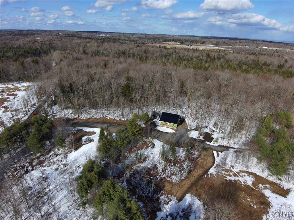 1316 William Ernst Road, Lewis, New York image 19