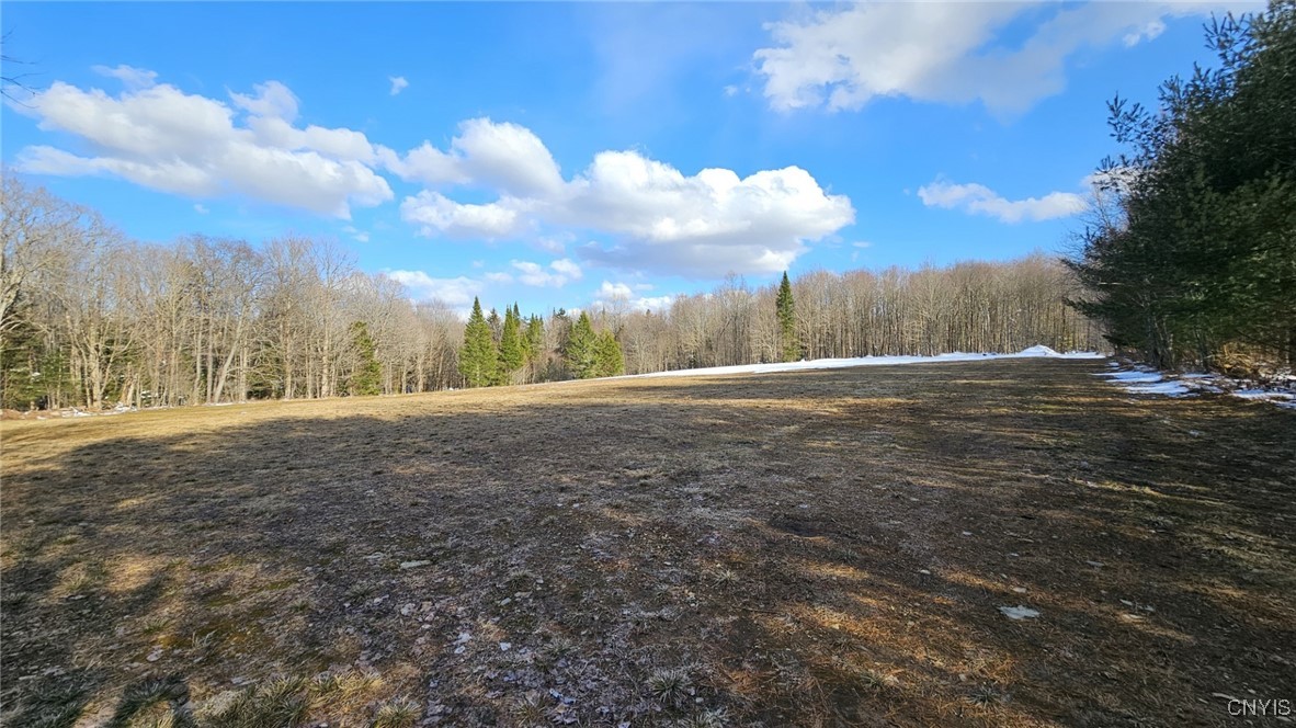 1316 William Ernst Road, Lewis, New York image 13