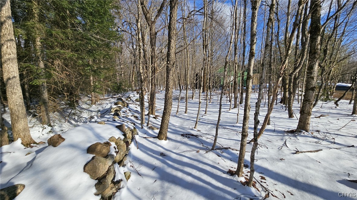 1316 William Ernst Road, Lewis, New York image 16