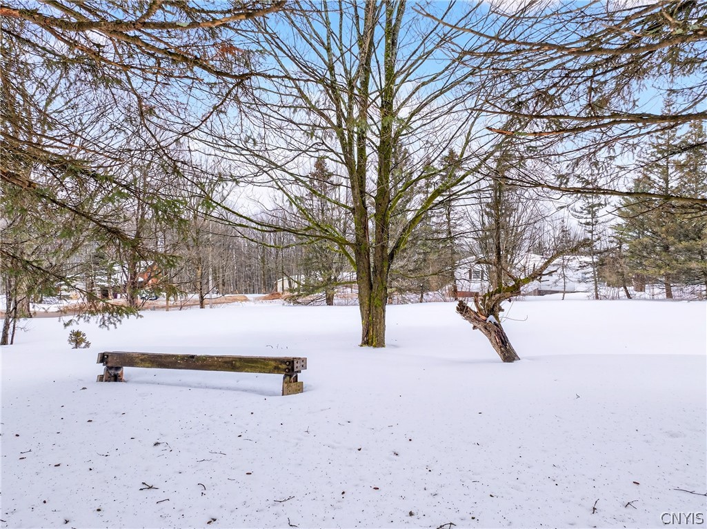 10346 Adirondack View