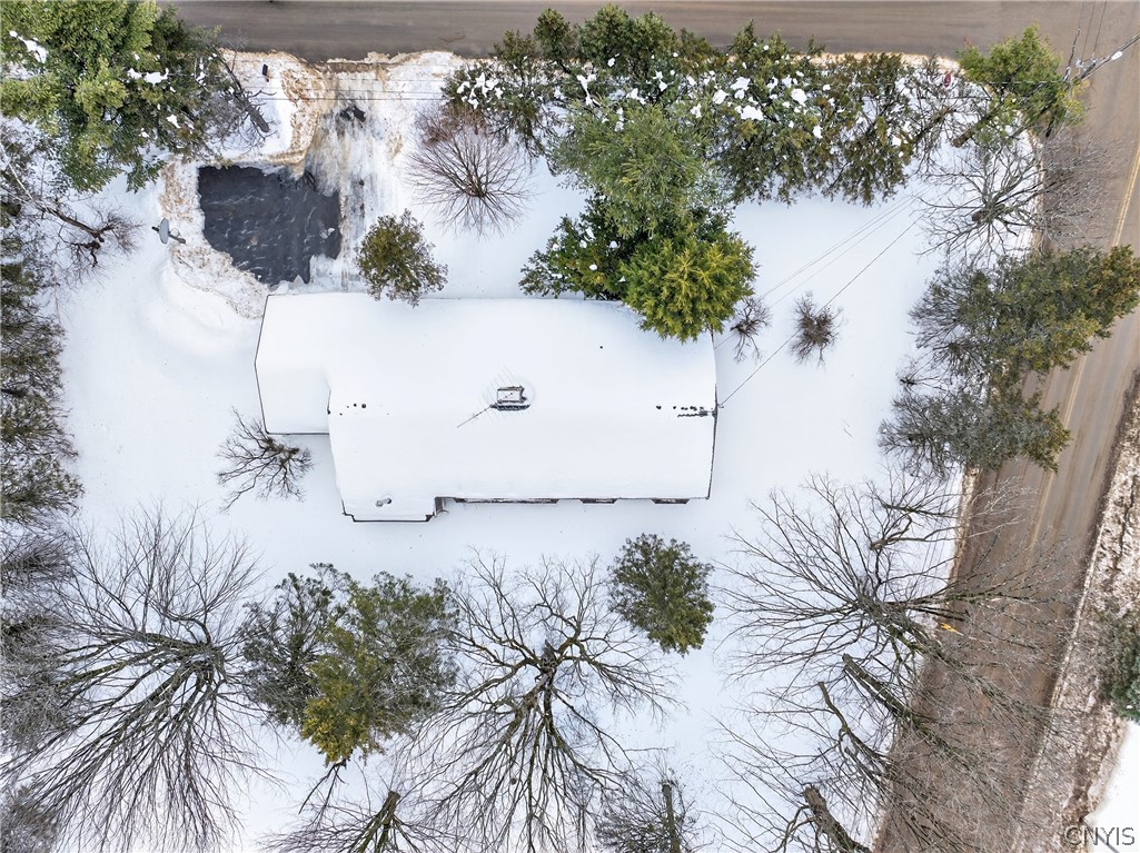 10346 Adirondack View