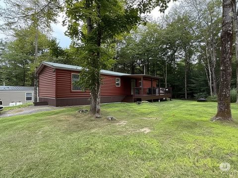 115 Rolling Hills Rd Cold Brook NY 13324