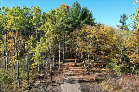 Vacant Land For Sale - 00 West Lake Road<br/> Cazenovia, NY 13035