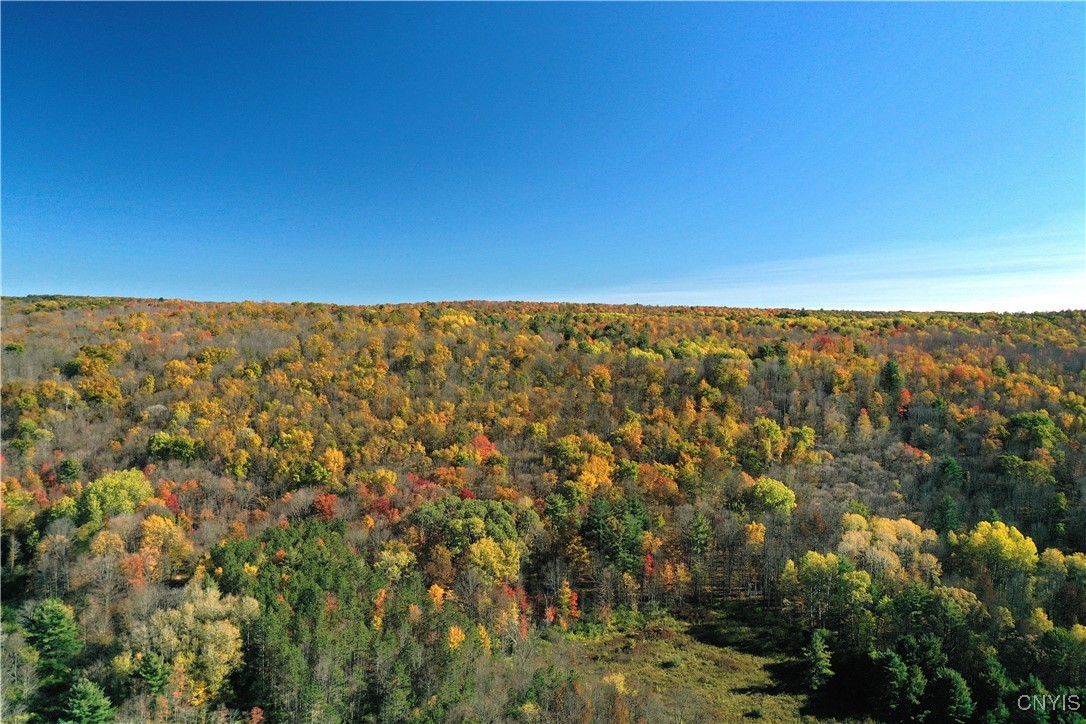 7810 County Road 15