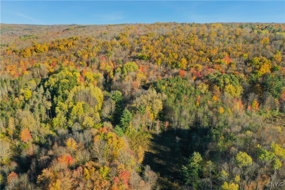 7810 County Road 15