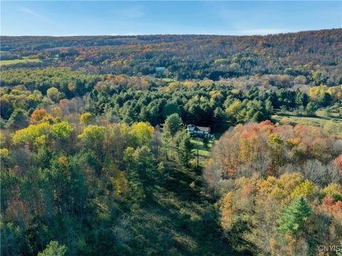 Vacant Land For Sale - 7810 County Road 15<br/> Angelica, NY 14709