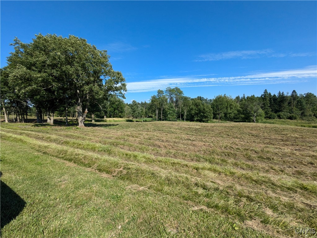 Lot #2 County Route 5, Clayton, New York image 2