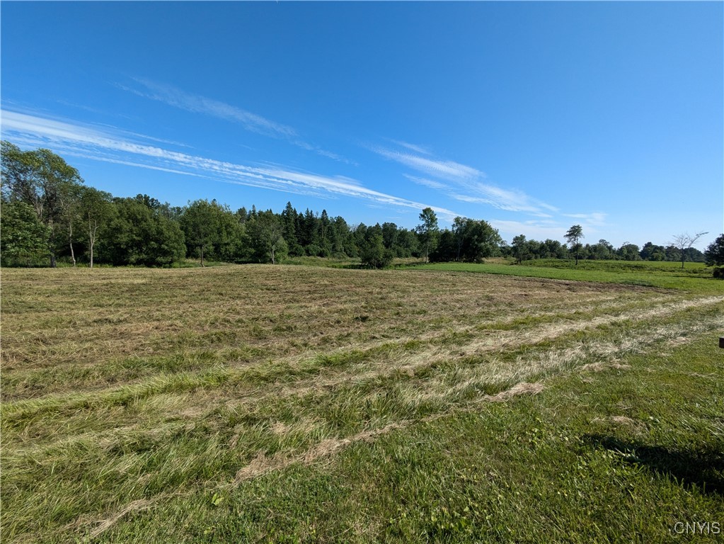 Lot #2 County Route 5, Clayton, New York image 4