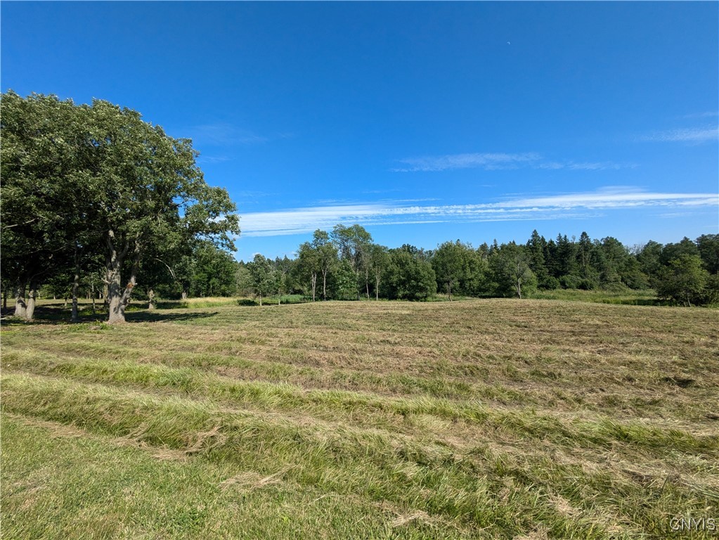 Lot #2 County Route 5, Clayton, New York image 3