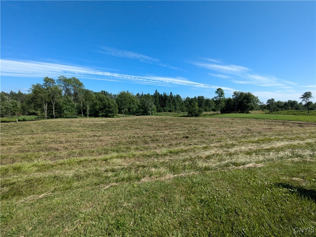 Lot #2 County Route 5, Clayton, New York image 1