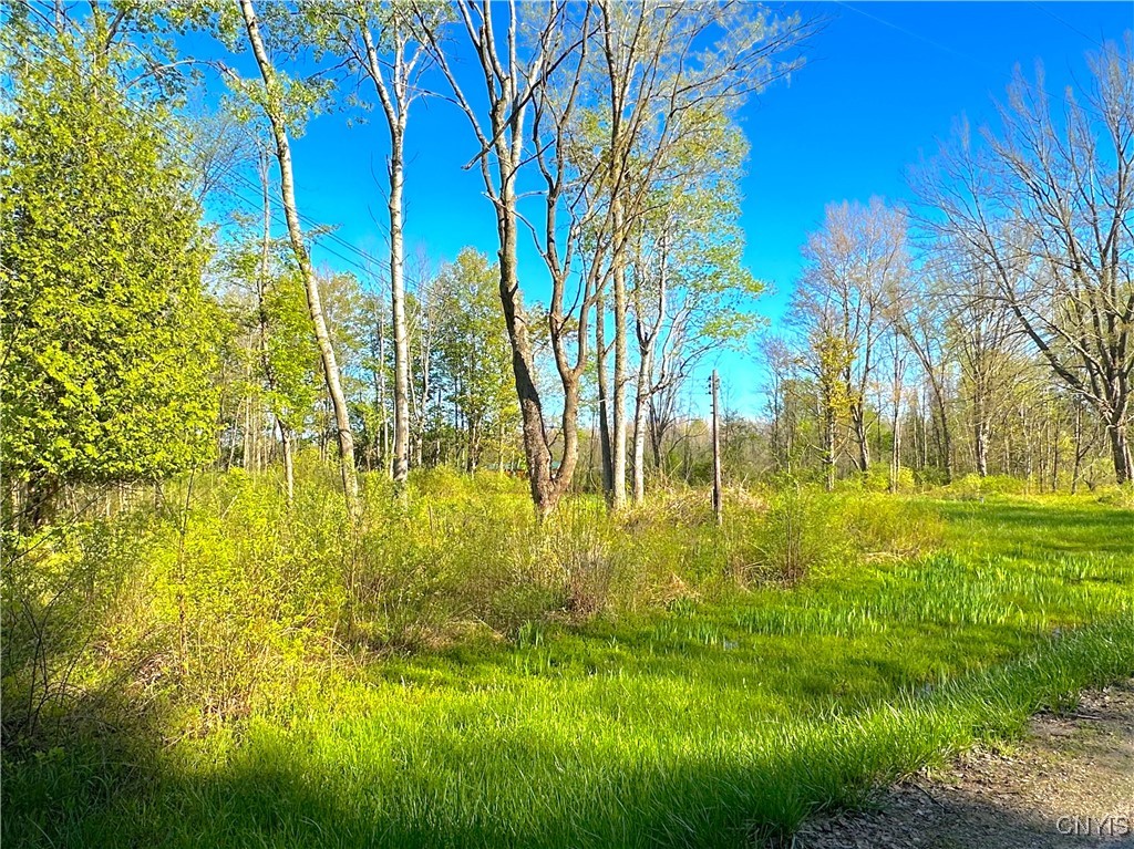 5914 Happy Valley Road, Verona, New York image 6