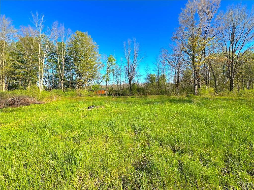 5914 Happy Valley Road, Verona, New York image 9