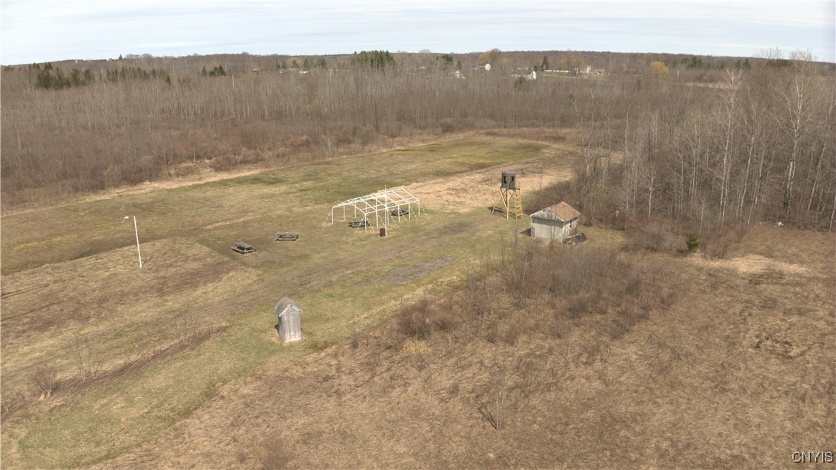 10105 Black Creek Road, Clay, New York image 7