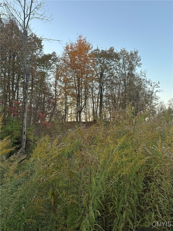 00 Beach Road, Hermon, New York image 3