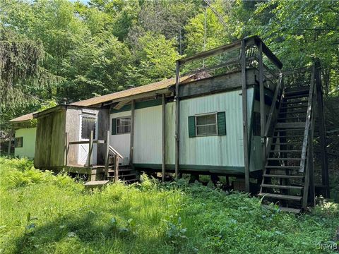 Regan Road Cuba NY 14727