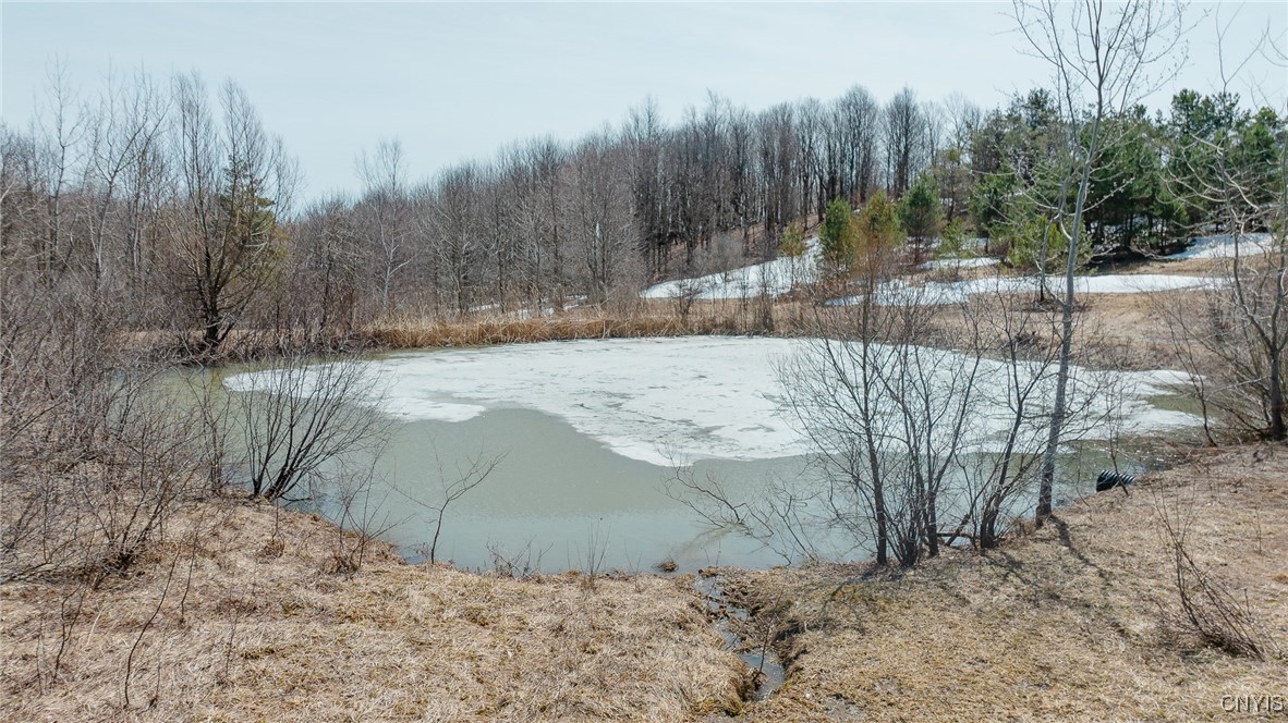 Lot 31 Twin Ponds Drive, Herkimer, New York image 4