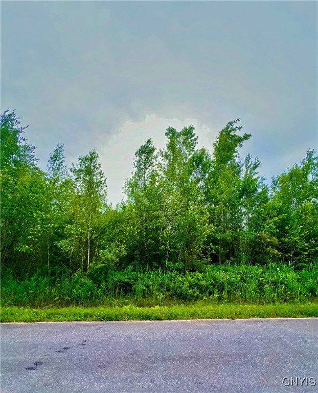 Lot 20 Forest Ridge Drive