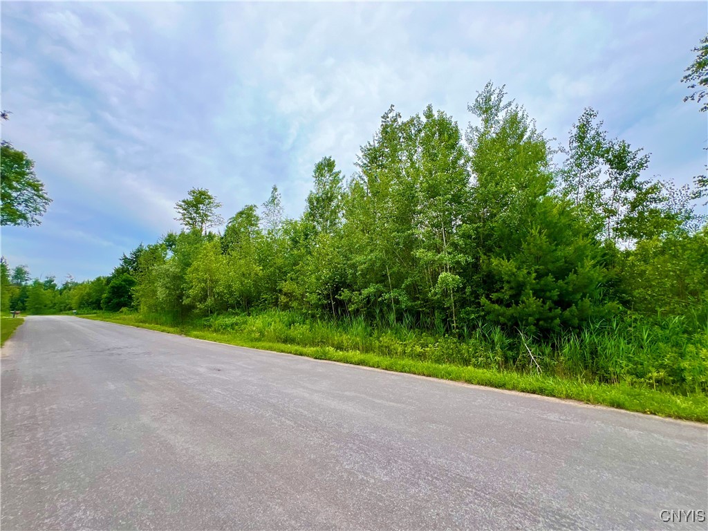 Lot 20 Forest Ridge Drive
