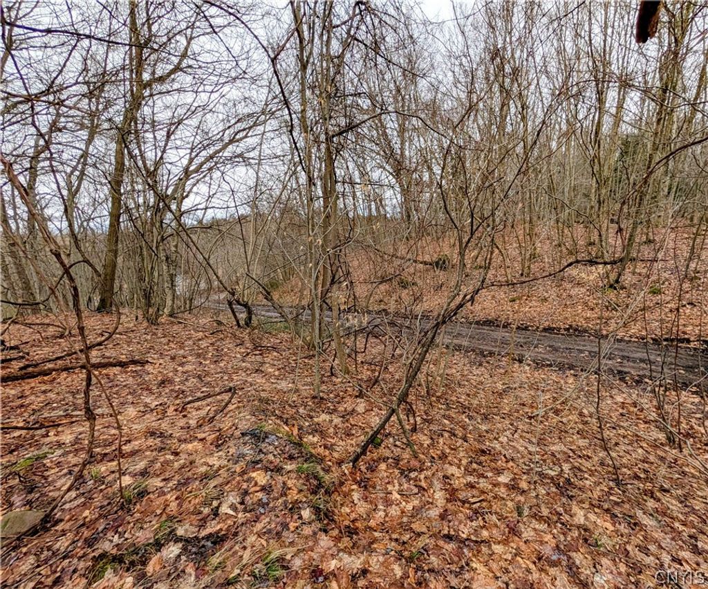 Photo of 24 Worden Road, Minetto, NY 13126 (MLS # S1668185)