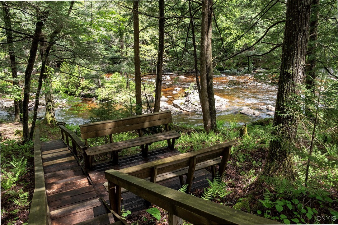 10964 Wild River Run, Remsen, New York image 20