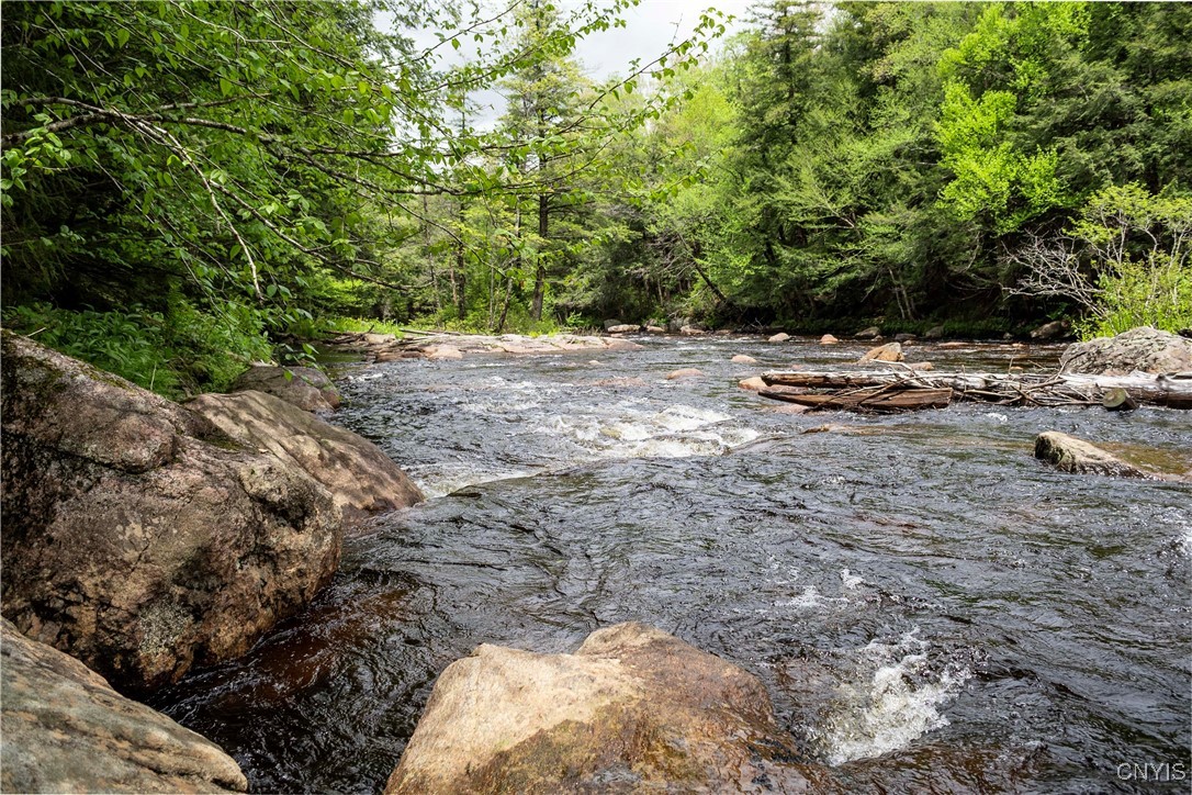 10964 Wild River Run, Remsen, New York image 23