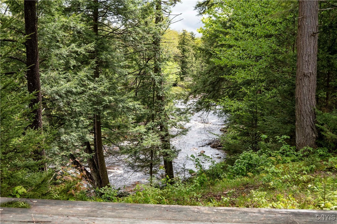 10964 Wild River Run, Remsen, New York image 18