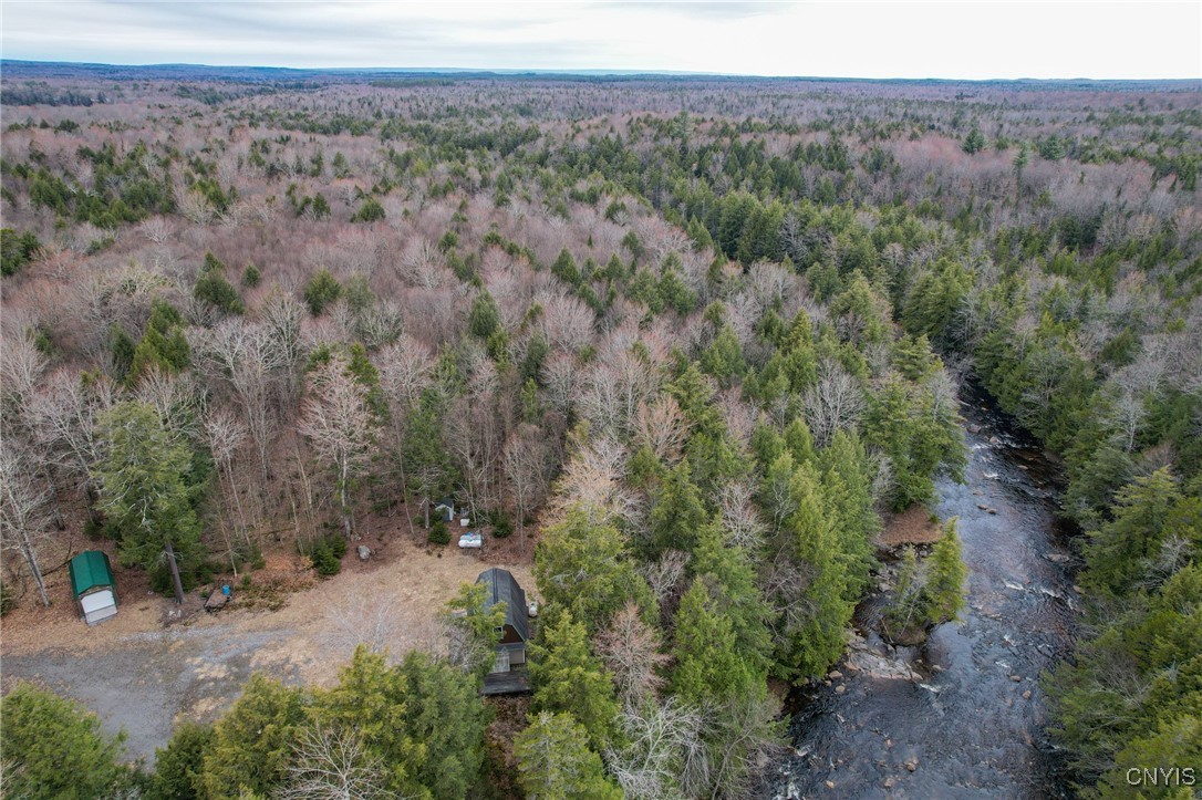 10964 Wild River Run, Remsen, New York image 16