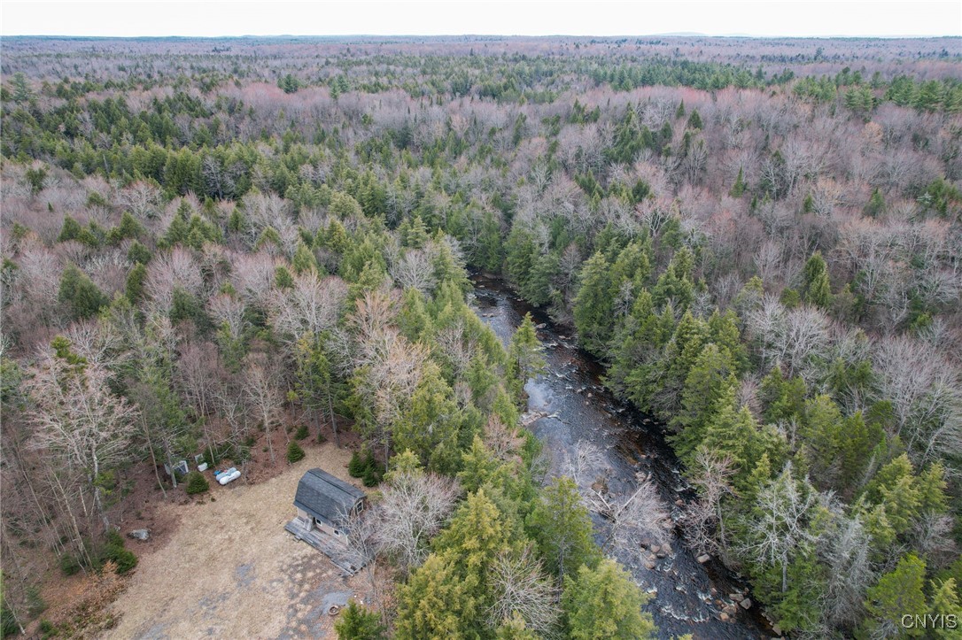 10964 Wild River Run, Remsen, New York image 12