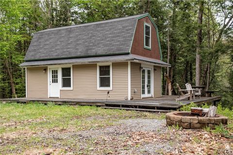 10964 Wild River Run Remsen NY 13438