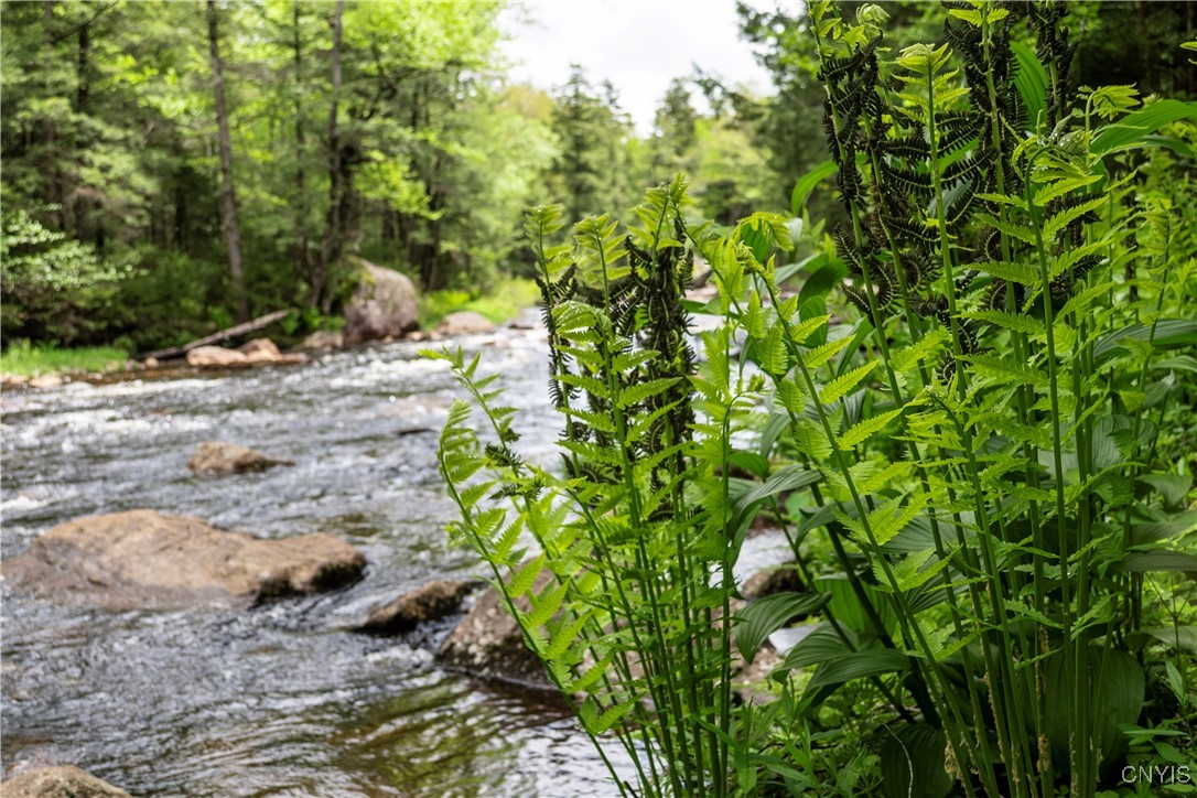 10964 Wild River Run, Remsen, New York image 25