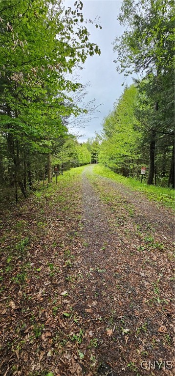 10964 Wild River Run, Remsen, New York image 5