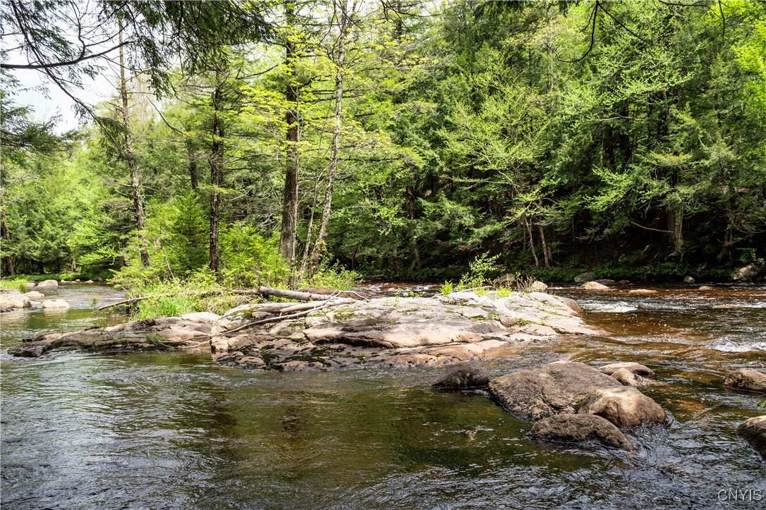 10964 Wild River Run, Remsen, New York image 22