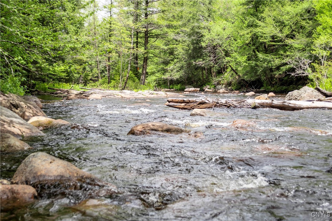 10964 Wild River Run, Remsen, New York image 24