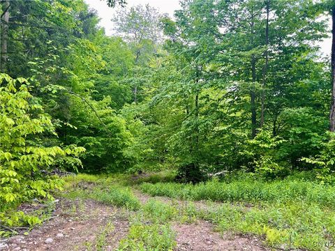 N Hillsborough Road Camden NY 13316
