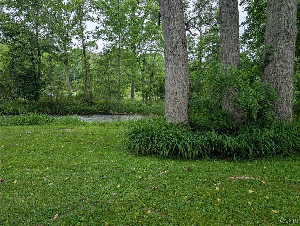 Photo of 224 Falls Boulevard, Sullivan, NY 13037 (MLS # S1689970)